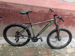 ফোনিক্স অ্যালুমিনিয়াম বাইসাইকেল