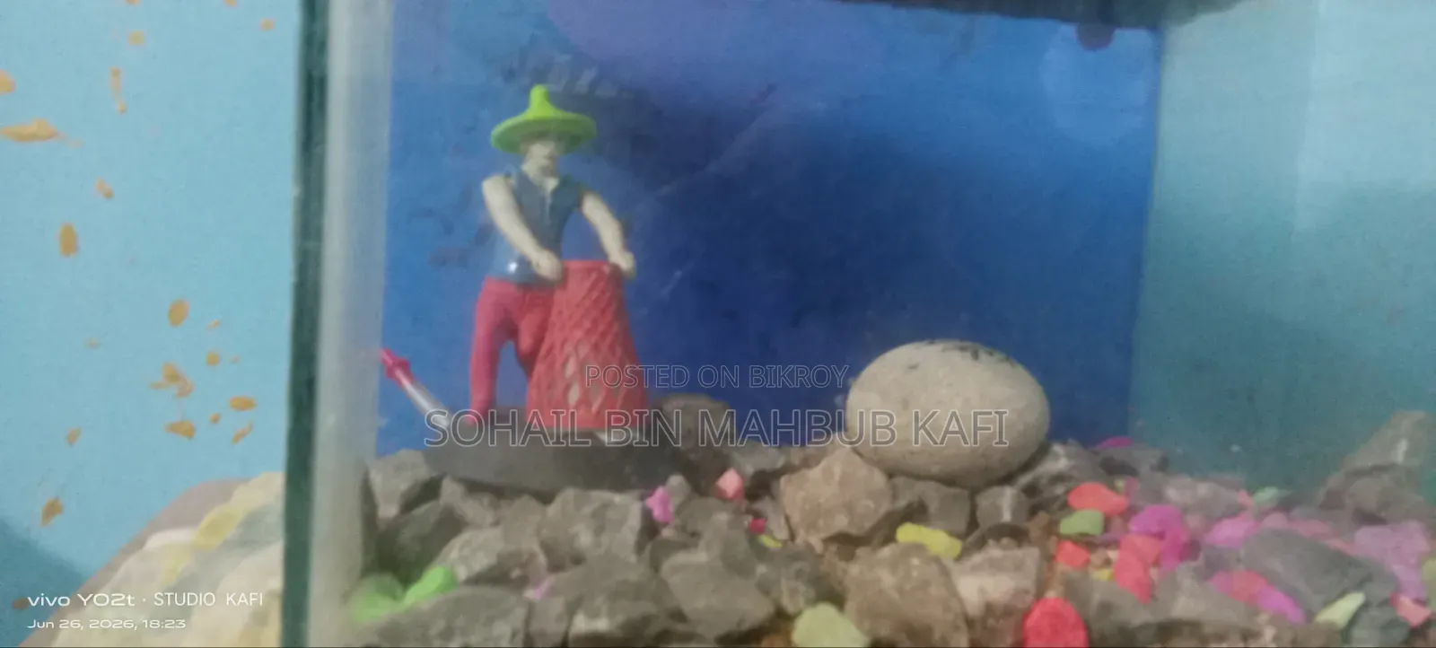 একটা একুরিয়াম বিক্রি হবে