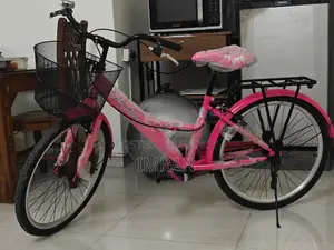 Duranta Angellena Ladies 24" Pink Bicycle With Basket
