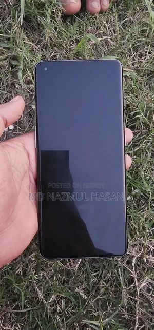 OnePlus 11 256 GB Gray