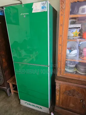 Jamuna Freeze