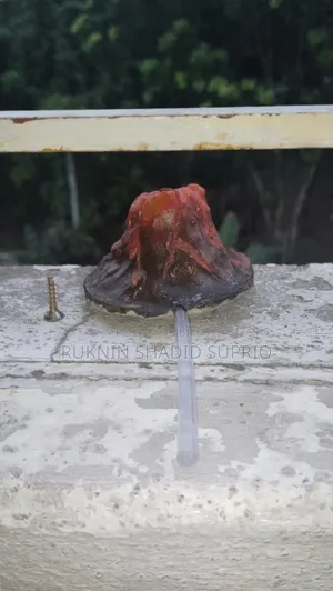 Fish Tank Landscaping Simulation Volcano Oxygen Bubble Maker