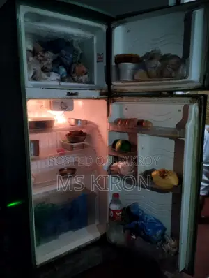 Sharp Fridge