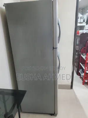 Lg Butterfly Fridge