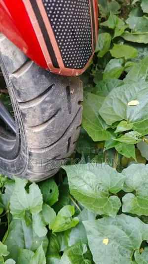 টিভিএস ২০১৬ লাল