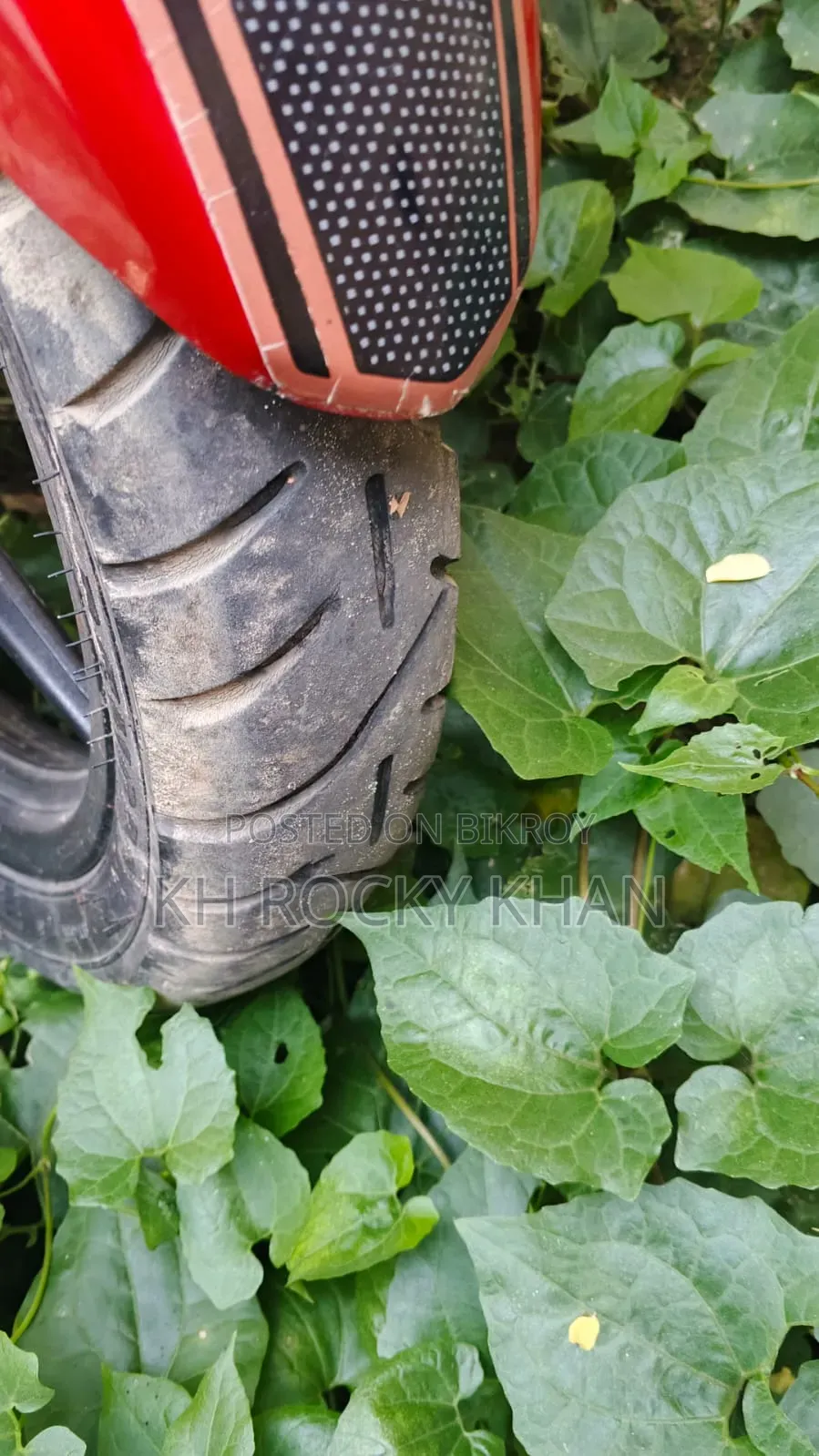 টিভিএস ২০১৬ লাল