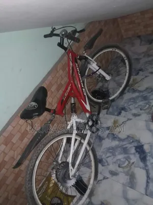 Very Good Cycle, No Problems