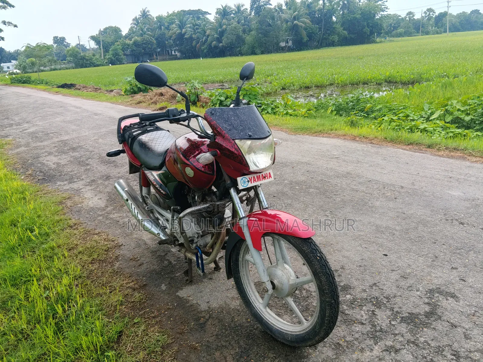 Yamaha 2008 Red