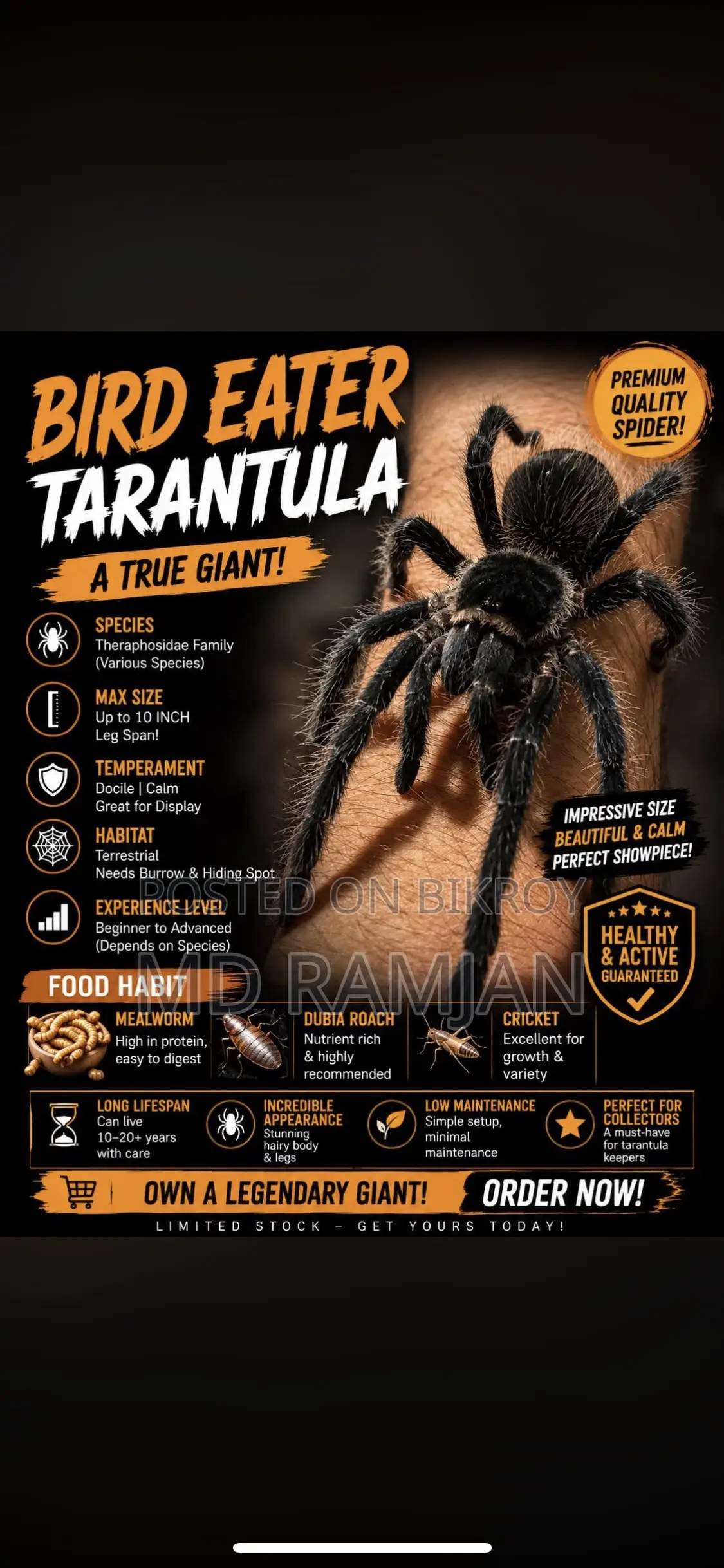 Bard Eter Trantola