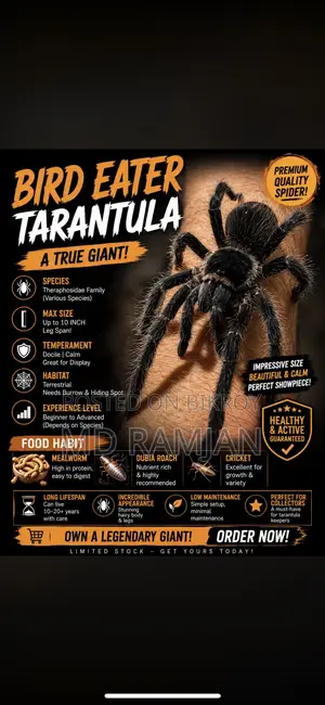Bard Eter Trantola