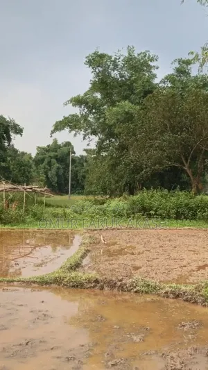 জমি বিক্রি হবে