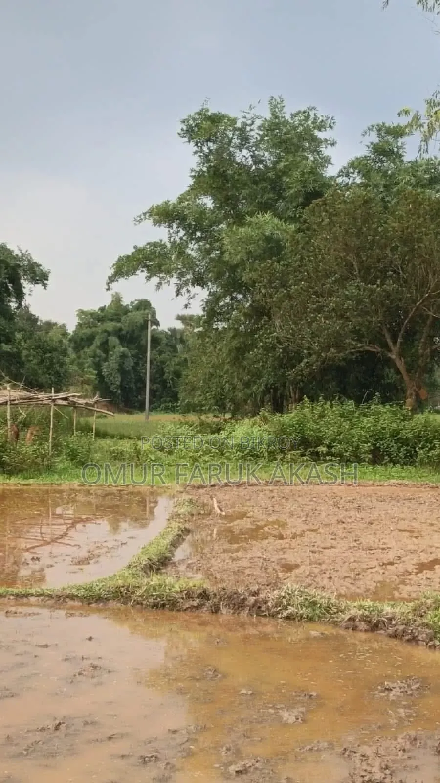 জমি বিক্রি হবে