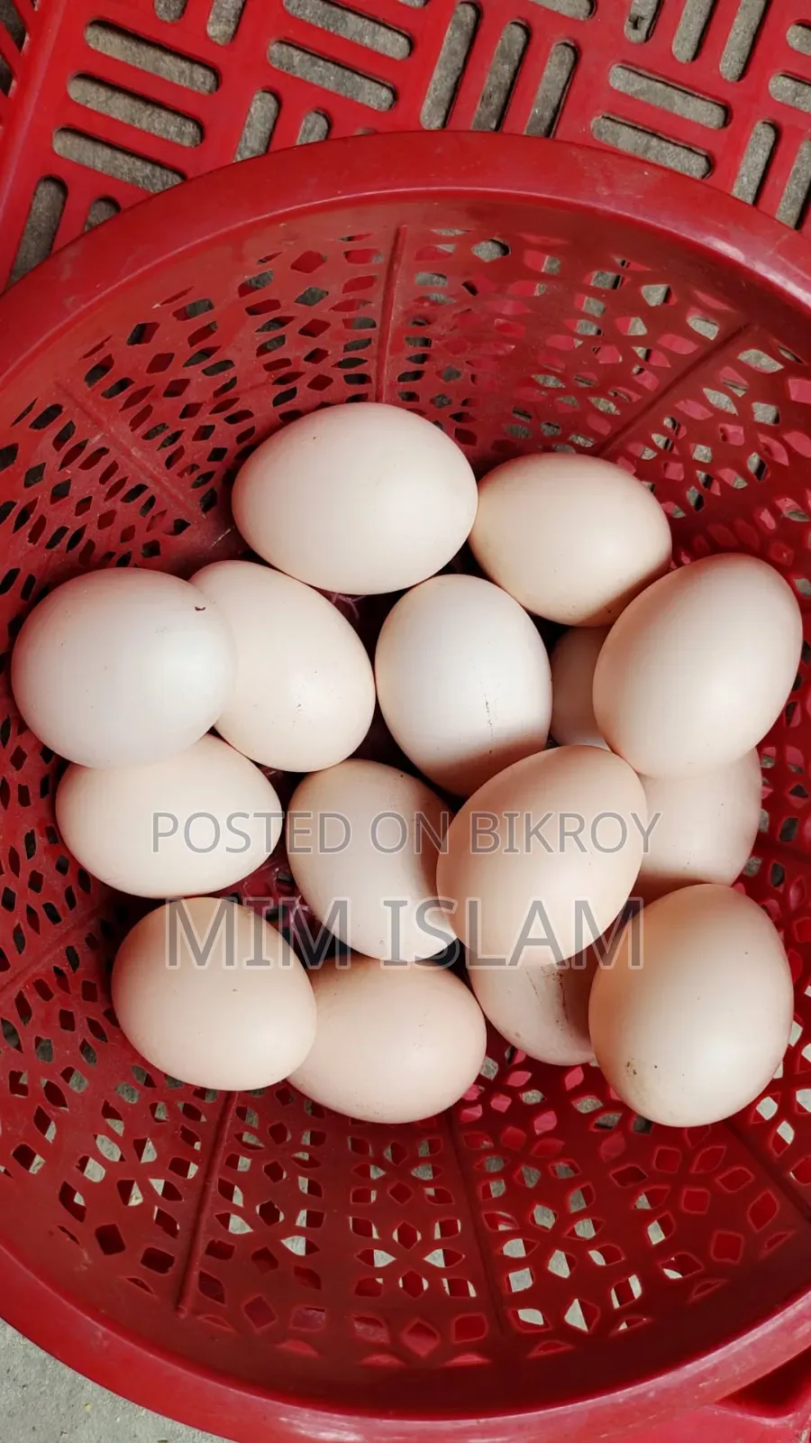 অরিজিনাল বাফ ব্রাহমার বীজ ডিম সেল হবে 