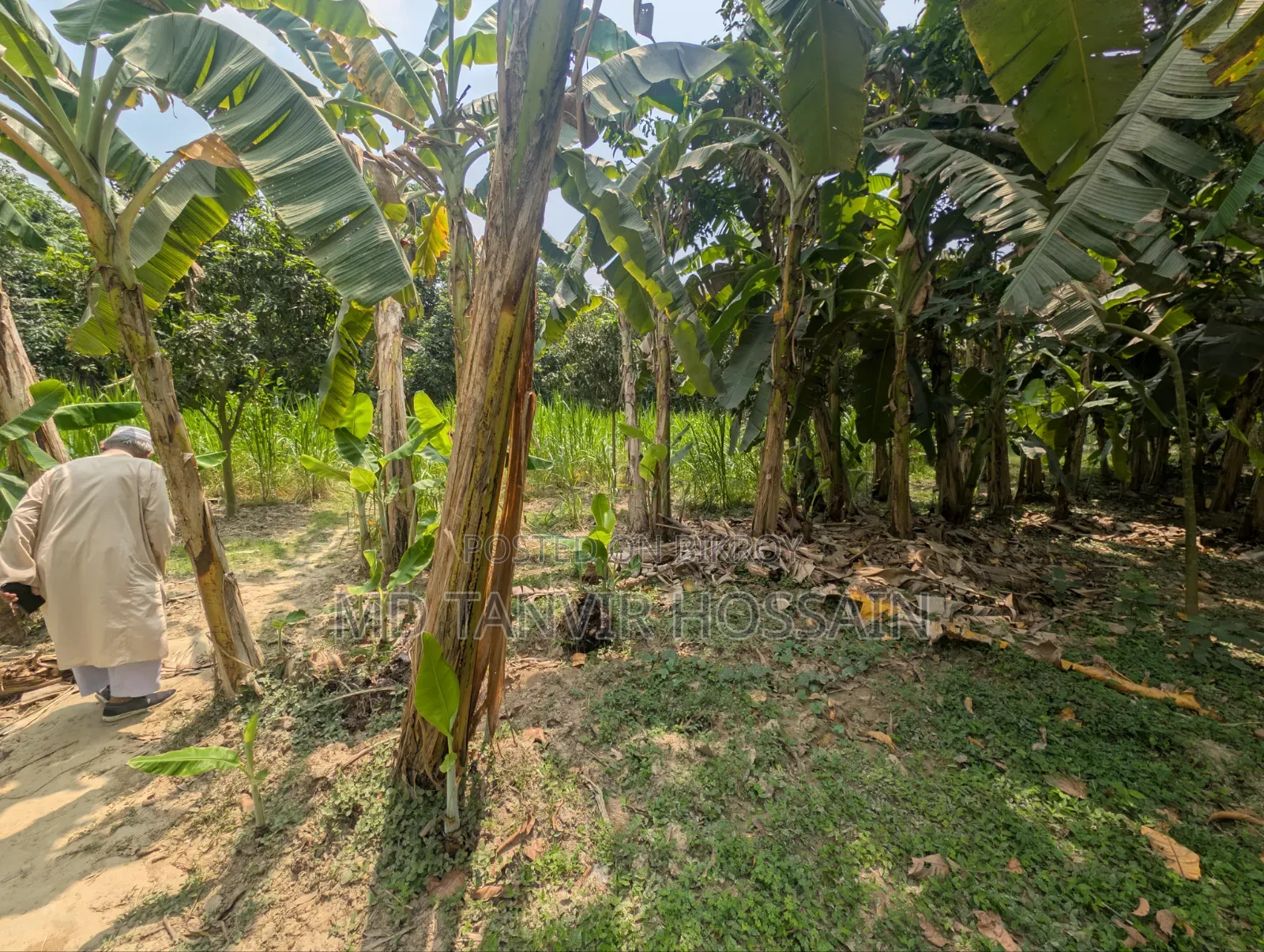 7.5 Katha Land for Sale (Near Charghat-Rajshahi)