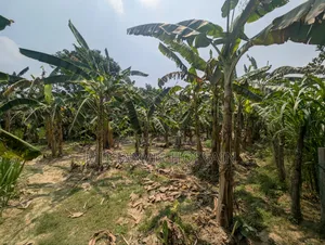 7.5 Katha Land for Sale (Near Charghat-Rajshahi)
