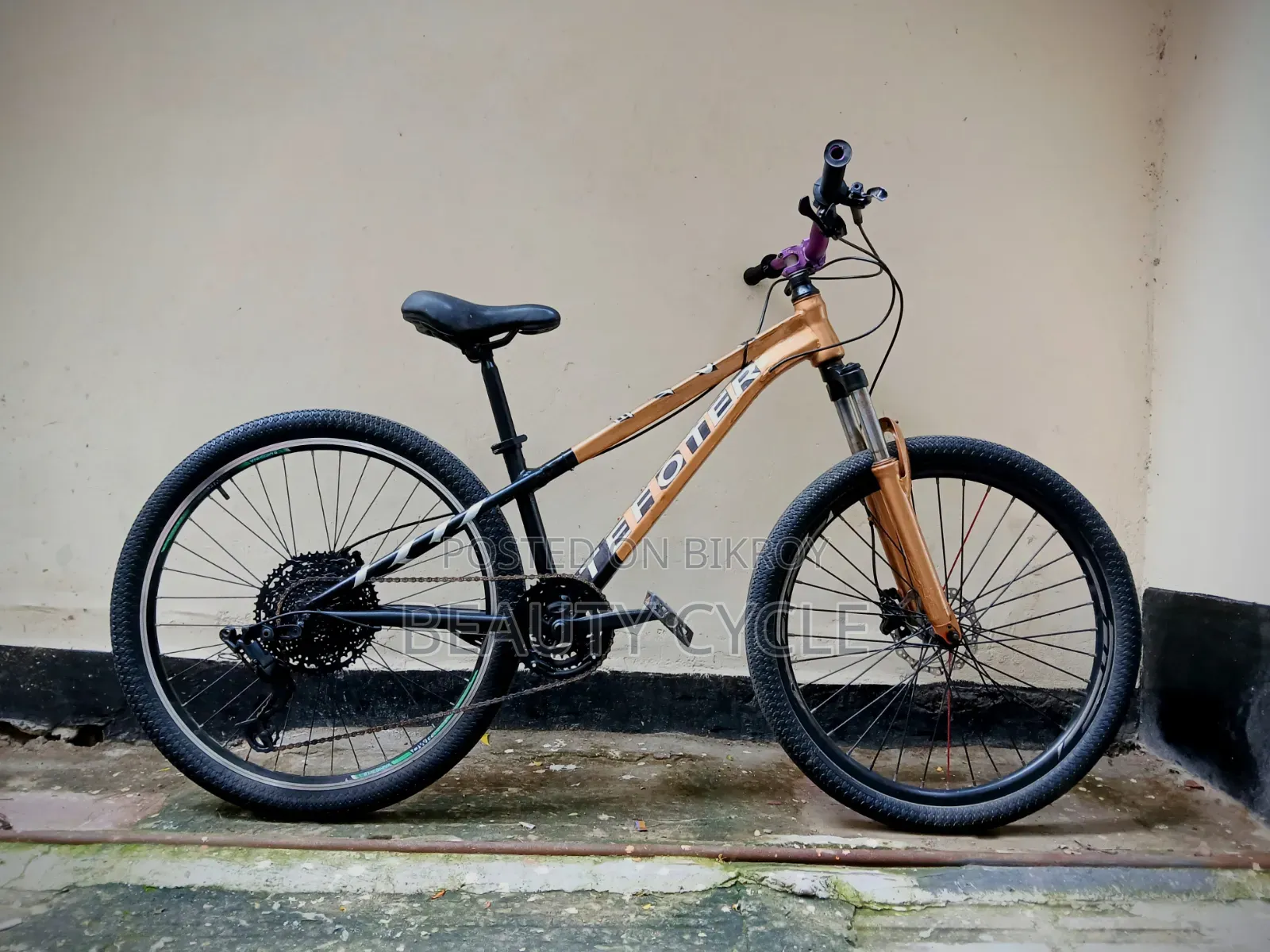 Tefoter, Avalanche Sport, Stunt Cycle.