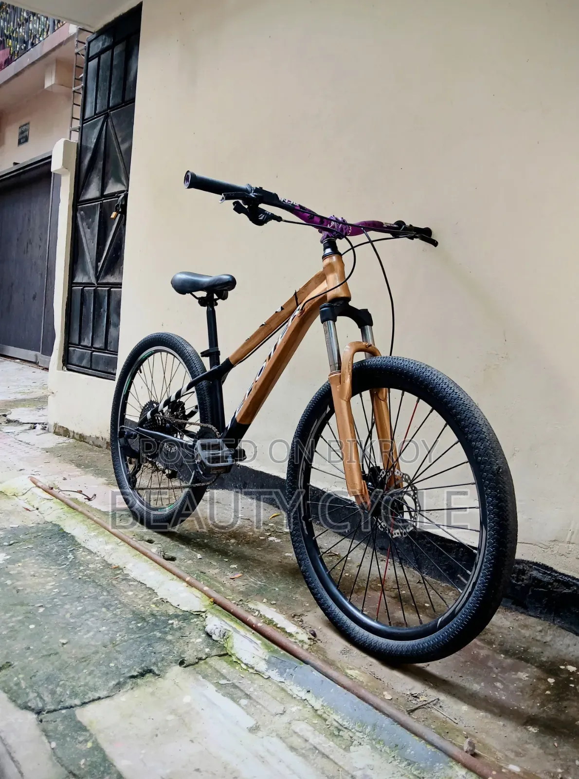 Tefoter, Avalanche Sport, Stunt Cycle.