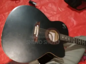 Guitar for Sale
