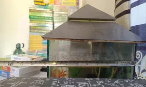 Mini Aquarium