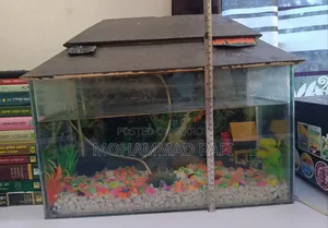 Mini Aquarium