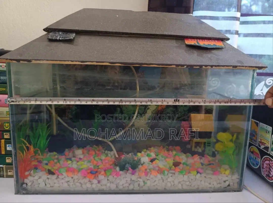 Mini Aquarium