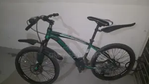 Used Bicycle