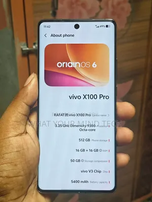 Vivo X100 Pro 512 GB Black