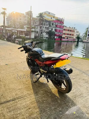 Bajaj Pulsar 150 2010 Red