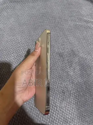অ্যাপল আইফোন ১৩ প্রো ম্যাক্স ২৫৬ জিবি গোল্ড