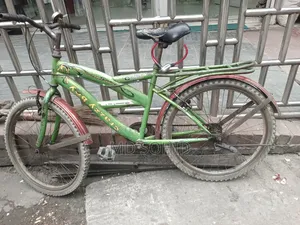 বাই সাইকেল