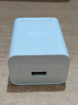 Realme 33 Watt Dart Charger