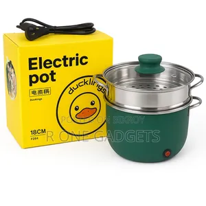 Electronic Coocking Pot