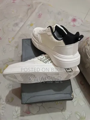 Converse Shoes