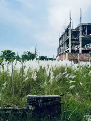 সাউথ ফেস, ৬০ ফিট রোড, ১৬/ আই