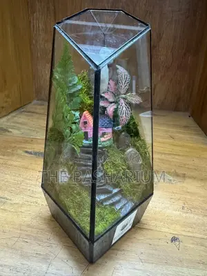 Terrarium Natural