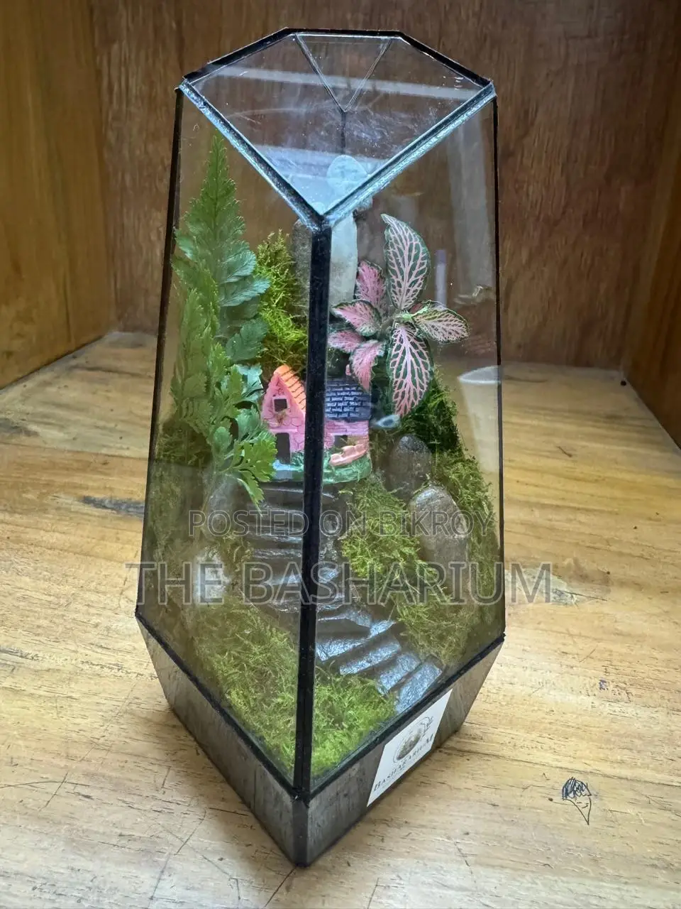 Terrarium Natural