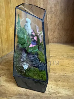 Terrarium Natural