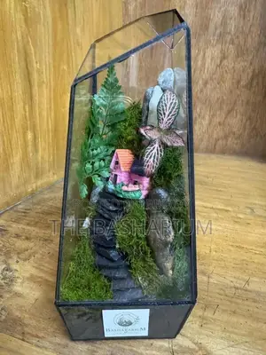 Terrarium Natural