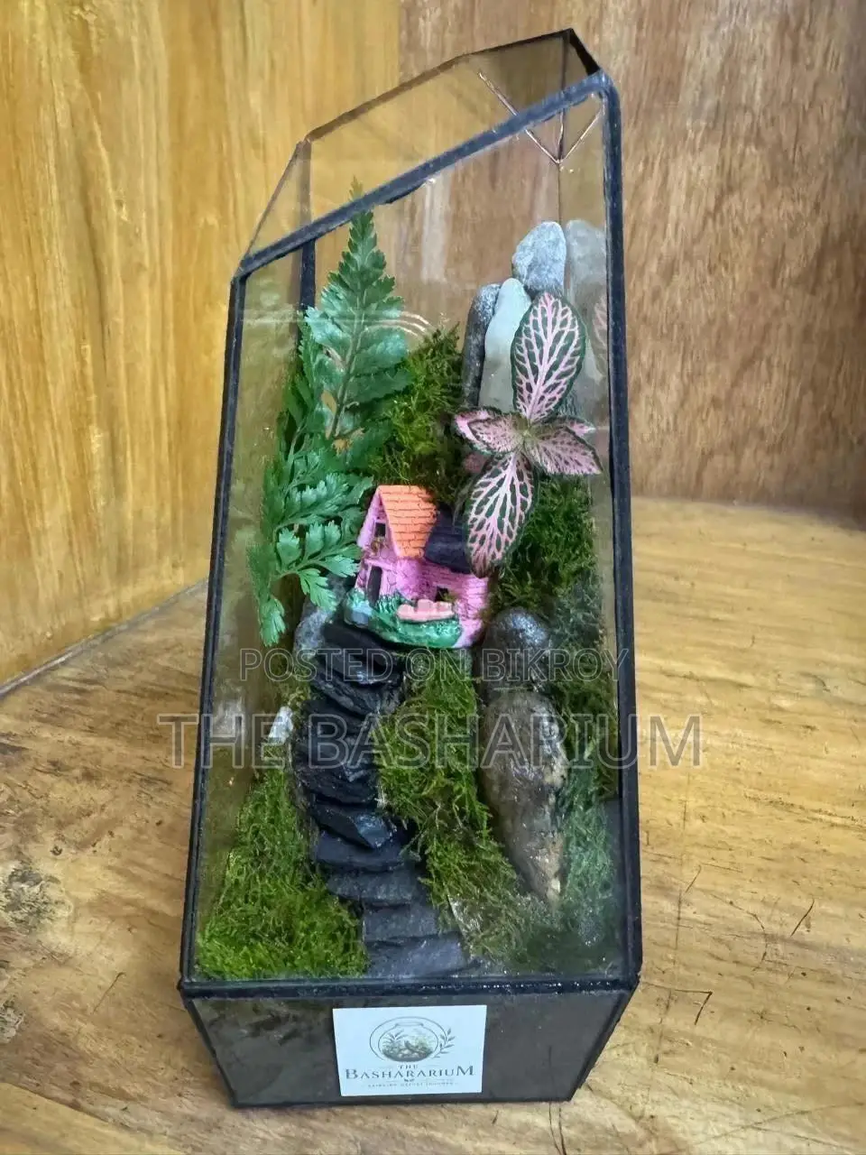 Terrarium Natural