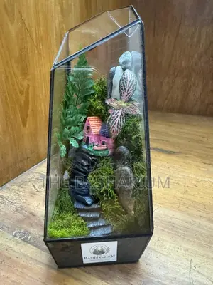 Terrarium Natural