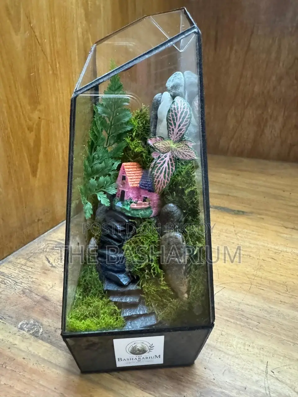 Terrarium Natural