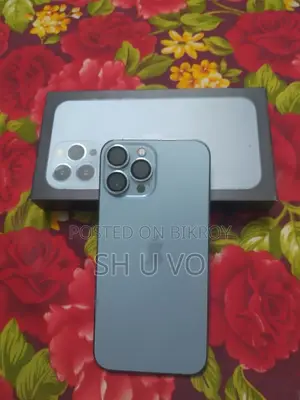 Apple iPhone 13 Pro Max 256 GB Silver