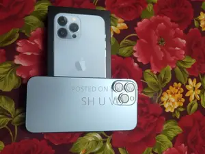 Apple iPhone 13 Pro Max 256 GB Silver