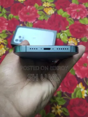 Apple iPhone 13 Pro Max 256 GB Silver