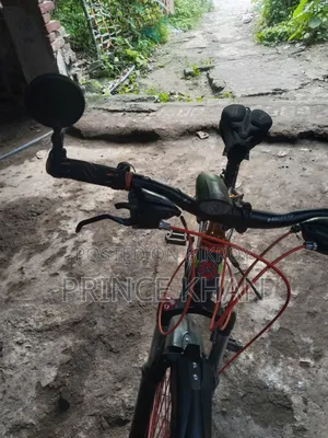 Cycle  In26