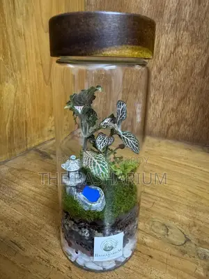 Terrarium Natural