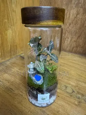 Terrarium Natural