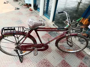 সাইকেল ব্রান্ড Ppringe
