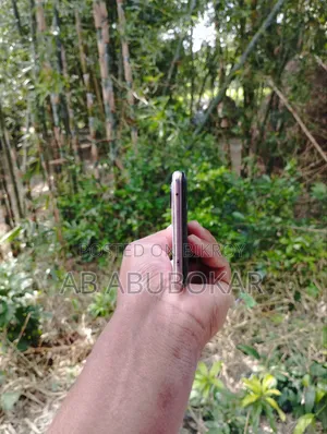 Xiaomi 11 Lite 5G NE 256 GB Gold
