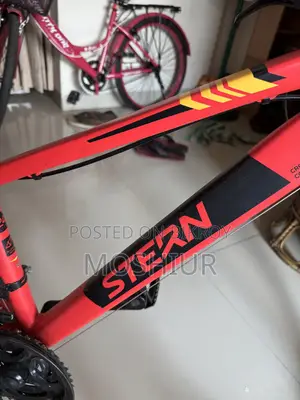 Stern Bicycle